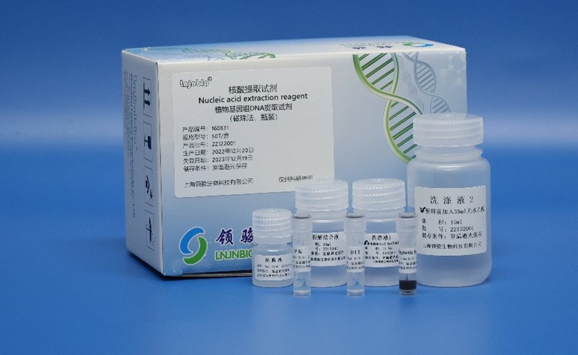 Super simple magnetic bead-based DNA extraction method genomic dna isolation